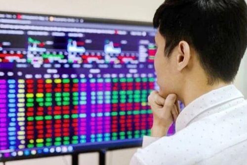 NĐT giao dịch cổ phiếu nhiều nhất tại công ty chứng khoán nào năm 2023?