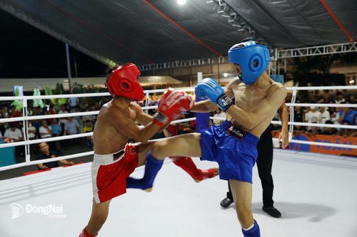 Hơn 200 VĐV tham dự Giải vô địch và vô địch trẻ kickboxing tỉnh 2024