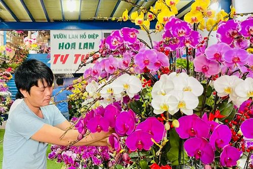 Nhộn nhịp thị trường hoa, cây cảnh ở Pleiku