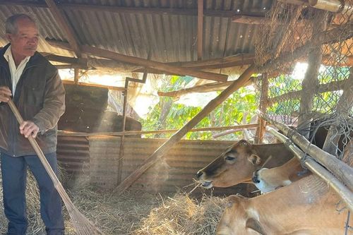 Già làng Rơ Châm Her làm kinh tế giỏi