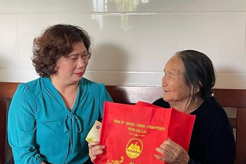 Trưởng ban Dân vận Tỉnh ủy Phạm Thị Tố Hải thăm, chúc Tết tại huyện Krông Pa và thị xã Ayun Pa