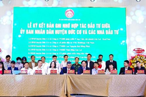 Đức Cơ ký kết biên bản ghi nhớ hợp tác đầu tư với 10 doanh nghiệp