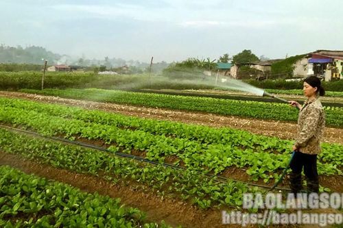 Thực hiện Nghị quyết 06: Góp phần thúc đẩy phát triển nông nghiệp bền vững