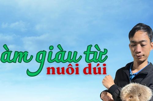 Làm giàu trên mảnh đất quê hương