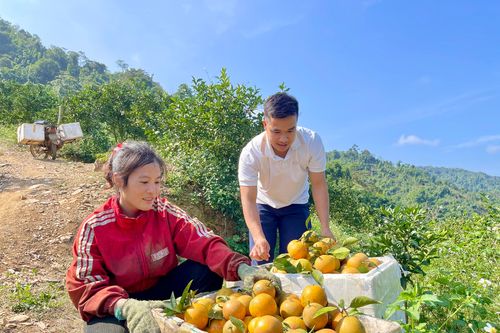 Thực hiện nếp sống văn hóa ở Thu Cúc