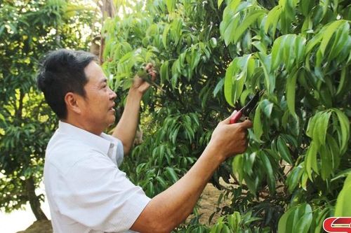 Bước chuyển nông nghiệp ở huyện vùng biên