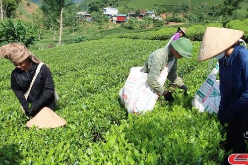 Nông nghiệp phát triển, nông thôn khởi sắc