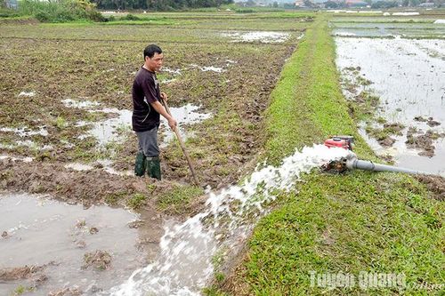 Đảm bảo đủ nước phục vụ sản xuất