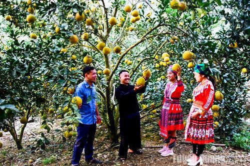 Tân Minh thắm sắc xuân