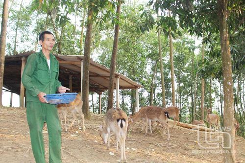 Nông dân Đồng Hỷ thi đua phát triển kinh tế