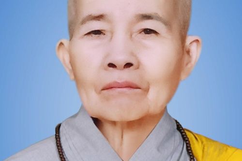 Thái Bình: Ni trưởng Thích Đàm Cầm, nguyên Chứng minh Phân ban Ni giới tỉnh viên tịch