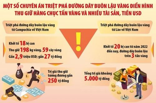 Đấu tranh, ngăn chặn vàng nhập lậu 'lọt' vào Việt Nam