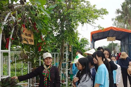 Cần sự kết nối, đồng hành nhiều hơn với nông dân