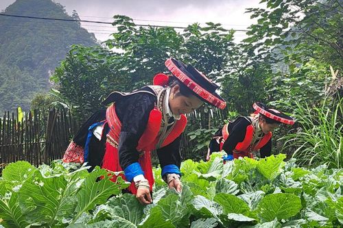 Lũng Ỉn xây dựng đời sống văn hóa ở khu dân cư