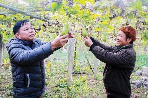 Góp sức xây dựng quê hương