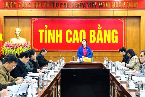 Họp Ban Chỉ đạo thực hiện đổi mới, phát triển và nâng cao hiệu quả kinh tế tập thể