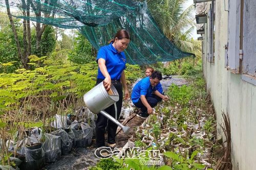 Dấu ấn từ sức trẻ