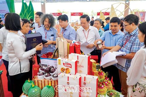 Nâng tầm sản phẩm OCOP vùng đất Chín Rồng