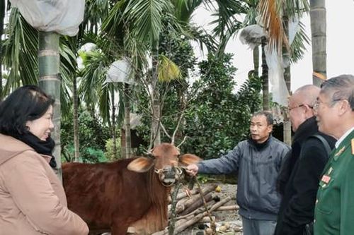 Báo Hànôịmới và Công ty Cổ phần Ao Vua tặng bò tại huyện Mỹ Đức