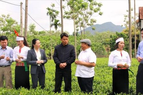 Câu lạc bộ nông dân sản xuất - kinh doanh giỏi giúp nhau làm giàu