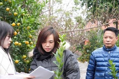 9 chợ hoa xuân quận Tây Hồ sẵn sàng phục vụ nhân dân đón Tết