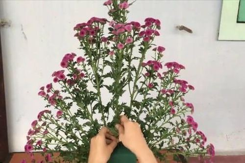 Hai cách cắm hoa cúc chưng ban thờ ngày Tết đẹp và nhanh bất ngờ