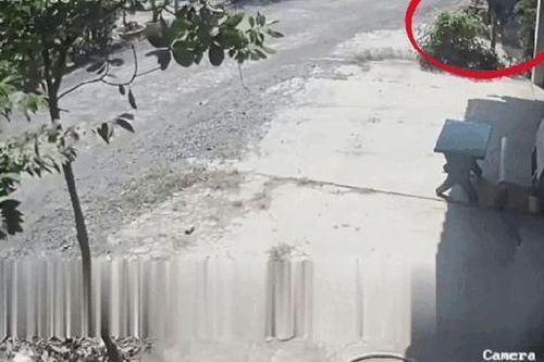 Bất ngờ lao ra từ ngõ nhỏ, nữ sinh điều khiển xe đạp điện gặp nạn thương tâm