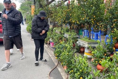 Vỉa hè Hà Nội thành chợ bán đào quất, 'đẩy' người đi bộ xuống lòng đường
