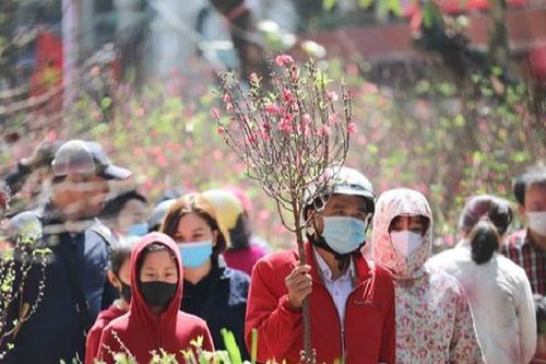 Lo ngại các dịch bệnh bùng phát dịp Tết, Hà Nội chỉ đạo 'nóng'