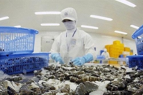 Xuất khẩu tôm kỳ vọng đạt 4 tỷ USD