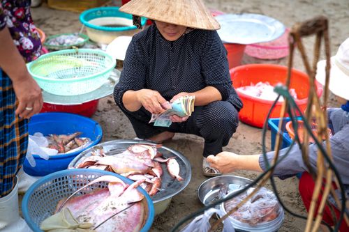 Dấu hiệu nhận biết thịt, cá không bị ôi