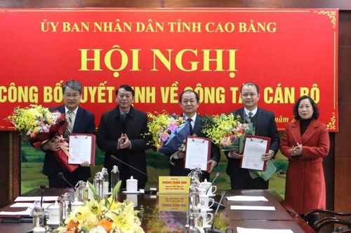 Bổ nhiệm Giám đốc Sở, Phó Giám đốc Sở