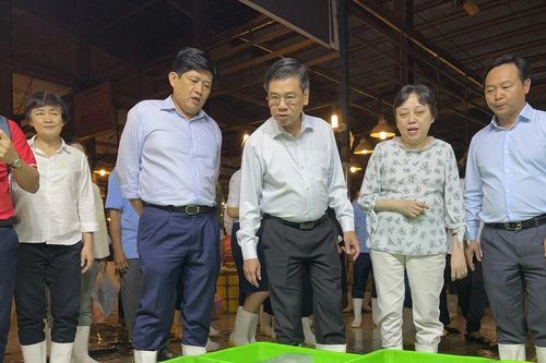 Lãnh đạo TPHCM khảo sát chợ Bình Điền trước thềm Tết Nguyên đán