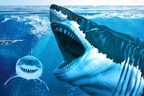 Công bố mới về 'siêu quái vật' Megalodon cổ đại, bất ngờ dung mạo