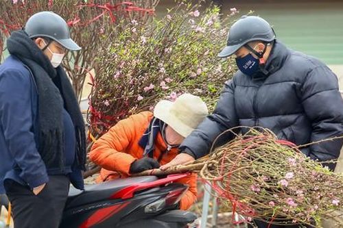 Người dân Thủ đô xuống phố 'săn' đào dăm, đào cành ngày Rằm tháng Chạp