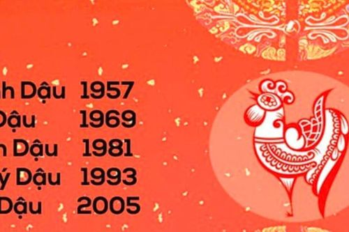 Tử vi tuổi Dậu năm 2024 chi tiết từng năm sinh