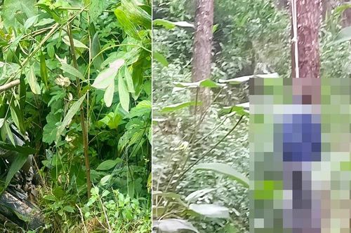 Vụ sát hại vợ và mẹ vợ, con rể lên rừng thông treo cổ tự sát