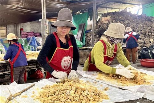 Làng mứt gừng Mỹ Chánh rộn ràng vào vụ Tết