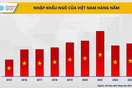 Nguồn cung nguyên liệu gia tăng, tại sao ngành chăn nuôi vẫn gặp khó?