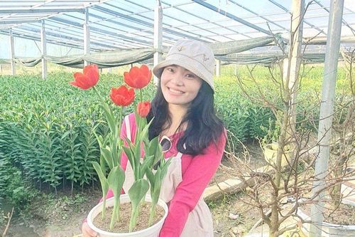 Hoa xứ lạnh trồng ở 'tiểu Đà Lạt xứ Huế' sẵn sàng xuôi phố đón Tết
