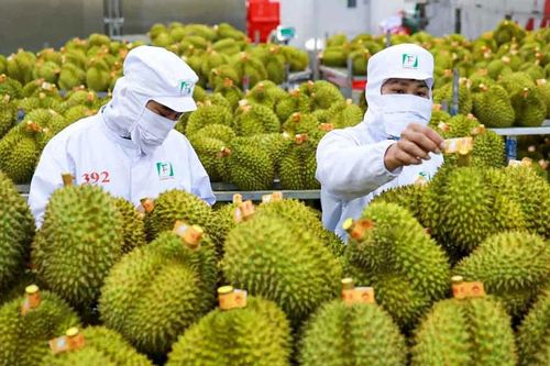 Doanh nghiệp Việt 'bỏ quên' thị trường ASEAN