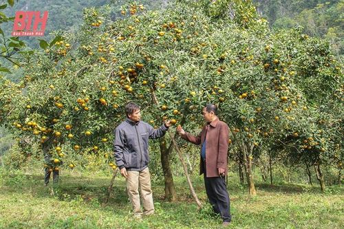 Thành Sơn phát triển các mô hình kinh tế