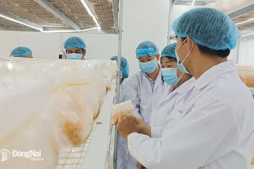 Chờ đợi vào sự tăng trưởng trong năm 2024