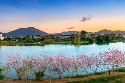 Thơ Đăng Độ: Xuân cao nguyên