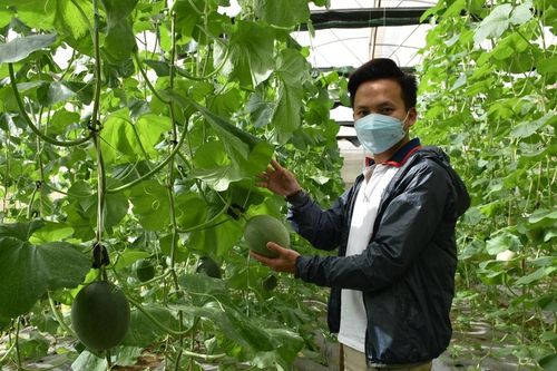 Hướng dẫn đăng ký công nhận doanh nghiệp nông nghiệp ứng dụng công nghệ cao