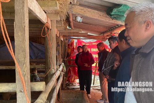 Lạng Sơn: 123 con gia súc bị chết do rét