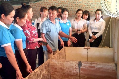 Đào tạo nghề cho lao động vùng dân tộc thiểu số và miền núi