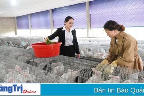 Khởi nghiệp thành công với mô hình nuôi thỏ