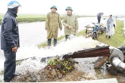 1.730 ha lúa ở Phú Vang bị ngập do ảnh hưởng mưa, lạnh