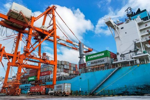 Cổ phiếu QNP - Cảng Quy Nhơn tăng hơn 67% chỉ sau 5 ngày chính thức chào sàn